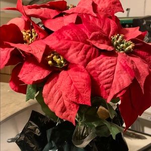 🎄EUC🎄 Holiday Faux Poinsettia❣️